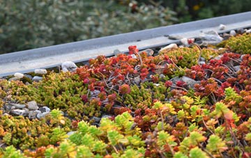 the cost of Knockglass green roof installation