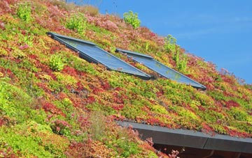 Knockglass living roof systems
